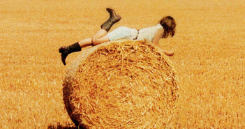 Miseducation of Cameron Post movie nabs distribution.