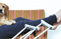 What were the top 13 #quietYA books of August?